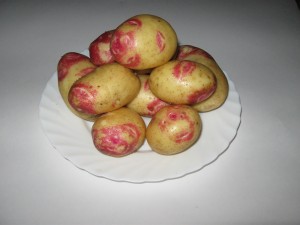 Семена среднепозднего картофеля Воронеж, Воронежская область